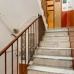 Spinacorona *